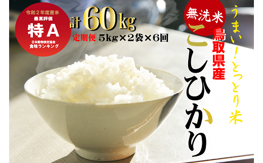 無洗米 コシヒカリ６回定期便 １０ｋｇ ６回 鳥取県倉吉市 ふるさと納税 ふるさとチョイス