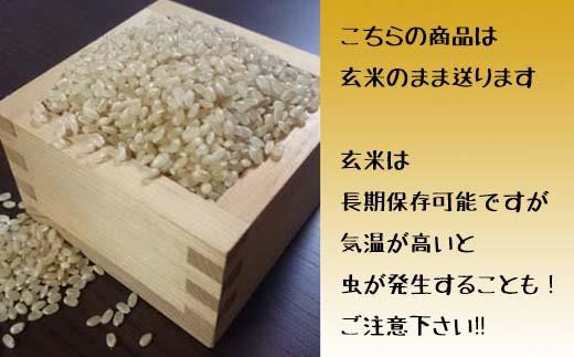 令和3年北海道岩見沢市産　ゆめぴりか玄米25ｋｇ【35001】