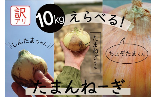 2023年発送【個数限定】訳あり VegeTanaQのたまねぎ『たまんねーぎ』 約10kg（種類選べます） H116