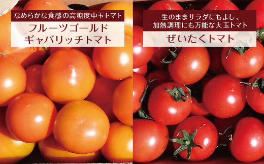 八代市産 宮島農園 おまかせ トマト 4種 3kg 新鮮