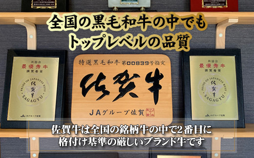 丸福 ハンバーグ（10個入り） - 佐賀県玄海町｜ふるさとチョイス