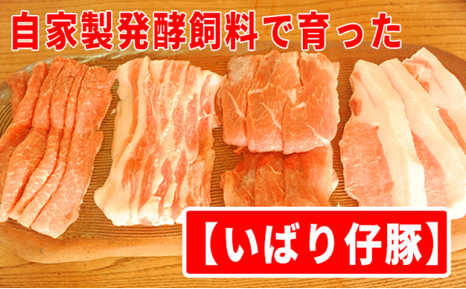 数量限定 発酵飼料で育つ！日本で一番旨い豚肉と威張る「いばり仔豚