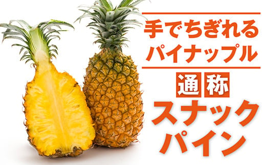 Zh 18 スナックパイン 4 玉 石垣産 ボゴール種 沖縄県石垣市 ふるさと納税 ふるさとチョイス