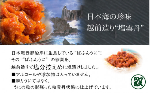 越前造り 塩うに 30g 曲物入り A 1701 福井県坂井市 ふるさと納税 ふるさとチョイス