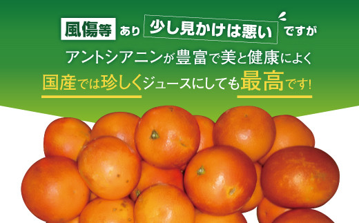 ブラッドオレンジ 約3kg（15玉～25玉）吉田レモニー みかん 柑橘 フルーツ 果物