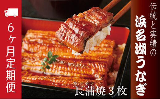 浜名湖うなぎ長蒲焼　約120g×3枚入【6カ月定期便】 [№5786-3853]