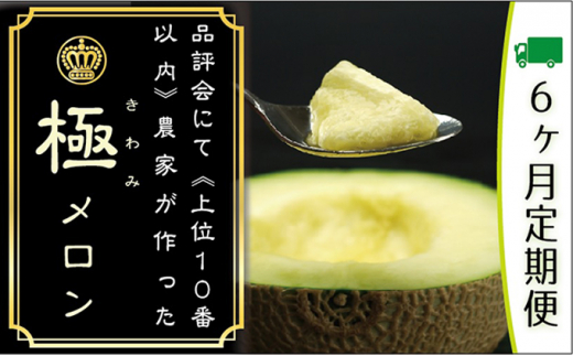 クラウンメロン　極み（約1.4kg）×1玉　ギフト箱【6ヶ月定期便】 [№5786-3848]