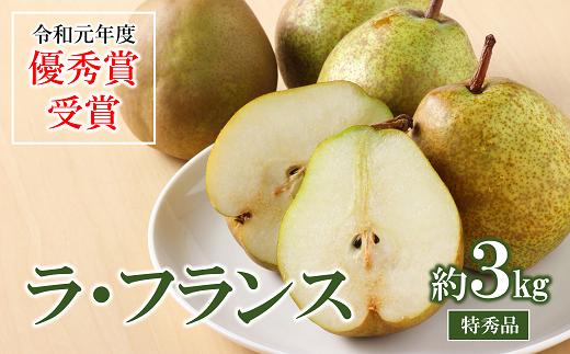 965 【令和3年11月上旬~発送予定】特秀 ラ・フランス 約3kg(7玉~8玉)