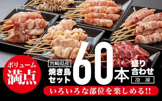 宮崎県産若鶏の焼き鳥セット6種 60本 盛り合わせ M146 001 宮崎県宮崎市 ふるさと納税 ふるさとチョイス