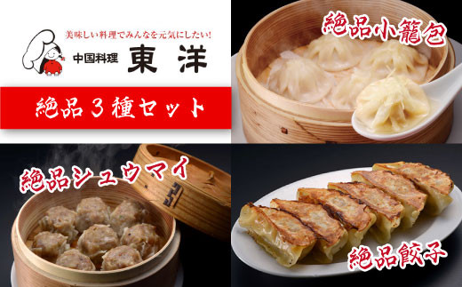 中国料理　東洋　木更津産林SPF豚使用　絶品冷凍点心３種６点セット