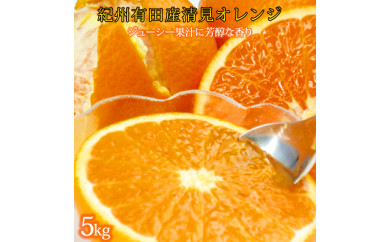 とにかくジューシー清見オレンジ　5kg【2025年3月下旬以降発送】【先行予約】【UT53】 480698 - 和歌山県由良町