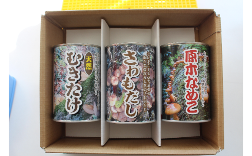 西和賀きのこ なめこ むきたけ さわもだし ３種セット 岩手県西和賀町 ふるさと納税 ふるさとチョイス