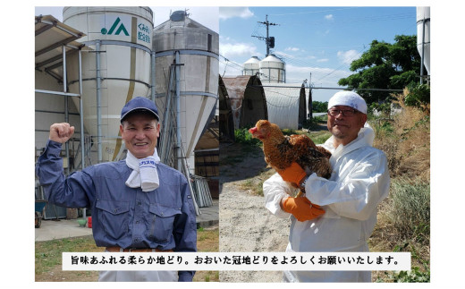 【チャレンジ応援品】おおいた冠地どり 焼肉セット1kg (モモ・ムネ）鶏肉 国産