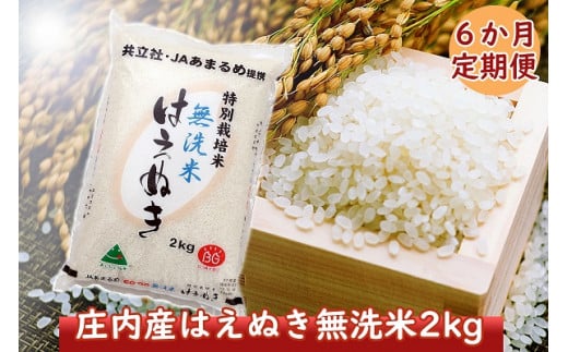 ＜6月中旬発送＞庄内米6か月定期便！特別栽培米はえぬき無洗米2kg（入金期限：2024.5.25）
