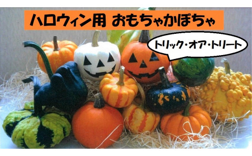 E 05 生産量日本一 ハロウィン用おもちゃかぼちゃ 北海道秩父別町 ふるさと納税 ふるさとチョイス