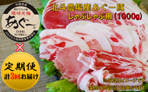 定期便3回コース 東村ブランド豚 あぐー豚しゃぶしゃぶ用 1000g 沖縄県東村 ふるさと納税 ふるさとチョイス