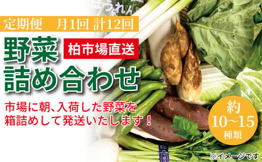 AF-4 【12ヶ月定期便】柏市場直送野菜詰め合わせセット