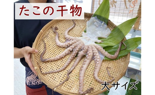 南知多産 真蛸の干物 大１杯 愛知県南知多町 ふるさと納税 ふるさとチョイス
