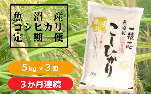 魚沼コシヒカリ ※パッケージデザイン等は予告なく変更されることがあります。