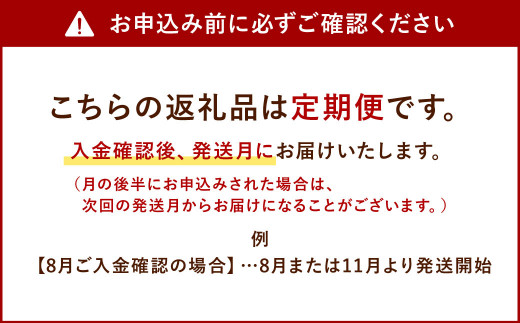 ふるさと納税 長崎県 大村市 【年4回 定期便】おまかせ 季節の 寄せ