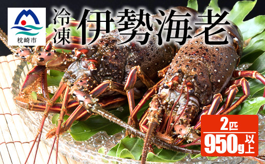 九十九里産 訳あり伊勢海老 約500g 2匹 約1000g前後 Go Study Europe De