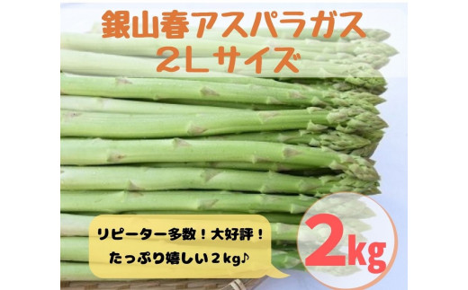 銀山春アスパラガス2lサイズ 2kg 極太 令和3年産 d 山形県尾花沢市 ふるさと納税 ふるさとチョイス