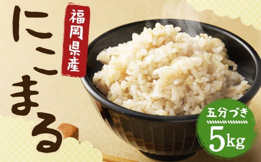 【栽培期間中肥料・農薬不使用】にこまる 五分づき 5kg 福岡県産  白米 お米 精米