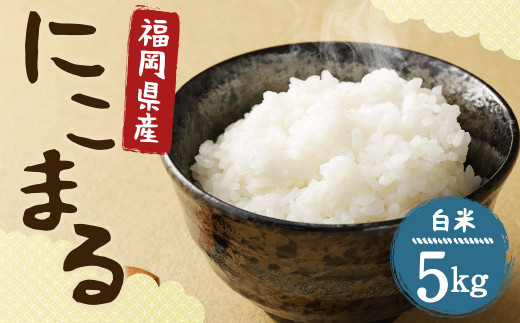 【栽培期間中肥料・農薬不使用】にこまる 白米 5kg 福岡県産 お米 精米 うるち米