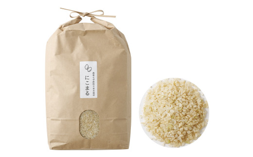 【栽培期間中肥料・農薬不使用】にこまる 五分づき 5kg 福岡県産  白米 お米 精米