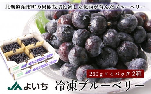 冷凍ブルーベリー 250ｇ 4パック ２箱 北海道余市町 ふるさと納税 ふるさとチョイス