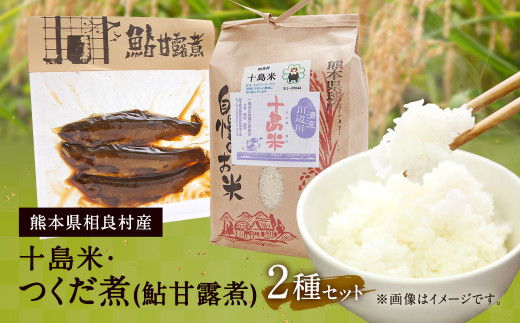 十島米 2kg つくだ煮(鮎甘露煮) 3尾 / 150g 2種セット ヒノヒカリ