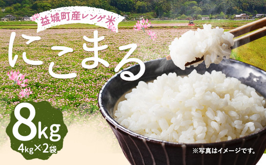 レンゲ米 にこまる 8kg 熊本県 益城町産 米 令和2年産 白米 熊本県益城町 ふるさと納税 ふるさとチョイス