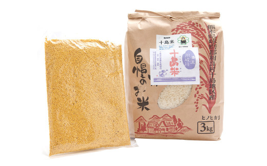 十島米 3kg もち粟 300g 2種セット ヒノヒカリ 白米 精米 粟 相良村産