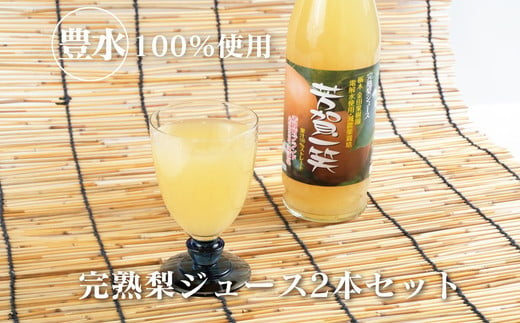 梨ジュース2本セット≪ナシジュース 果汁100% なし ナシ フルーツ 果物 ギフト 贈り物≫