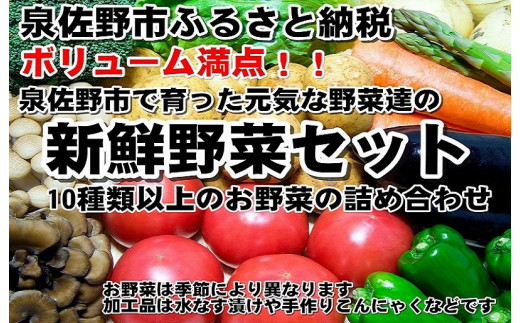 010b507 ボリューム大満点 新鮮な旬の野菜セット 大阪府泉佐野市 ふるさと納税 ふるさとチョイス