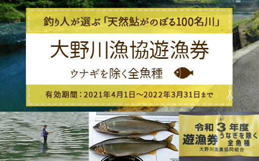 024 259 大野川漁協遊漁券 ウナギを除く全魚種 大分県豊後大野市 ふるさと納税 ふるさとチョイス