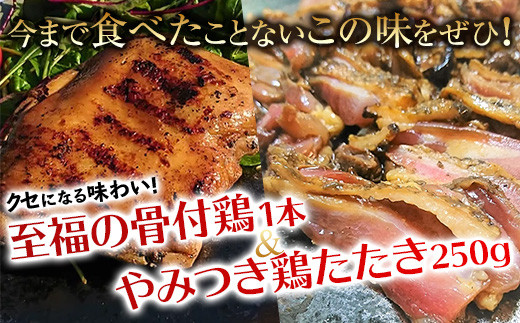 至福の骨付鶏1本 やみつき鶏たたき250g 約4 5人前 M027 001 宮崎県宮崎市 ふるさと納税 ふるさとチョイス