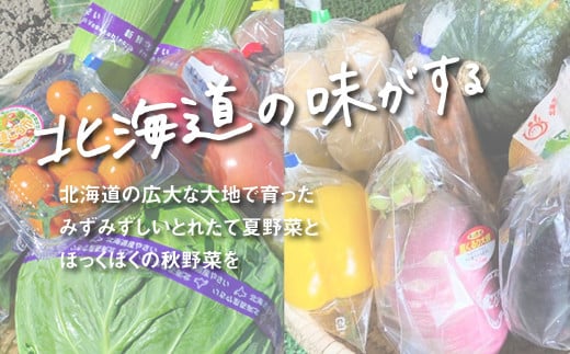 直売所直送「夏・秋野菜定期便」4回　H028 261204 - 北海道栗山町