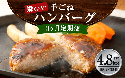 3ヶ月定期便 手ごね ハンバーグ 約4 8kg 160g 10個 3回 熊本県水俣市 ふるさと納税 ふるさとチョイス