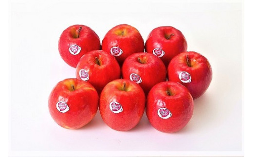 りんご ピンクレディー 長野県安曇野市 ふるさと納税 ふるさとチョイス