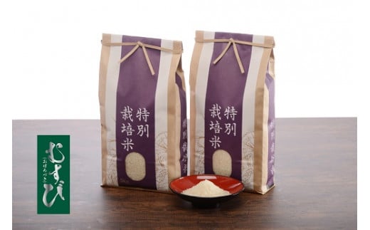 夕張の水が育む！コンテスト受賞のお米 むすび（おぼろづき種）5kg×2袋　F008 261164 - 北海道栗山町