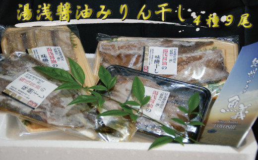 和歌山の近海でとれた新鮮魚の湯浅醤油みりん干し4品種9尾入りの詰め合わせ 858524 - 和歌山県太地町