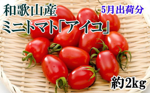 【5月出荷分】和歌山産ミニトマト「アイコトマト」約2kg（S・Mサイズおまかせ） 858560 - 和歌山県太地町