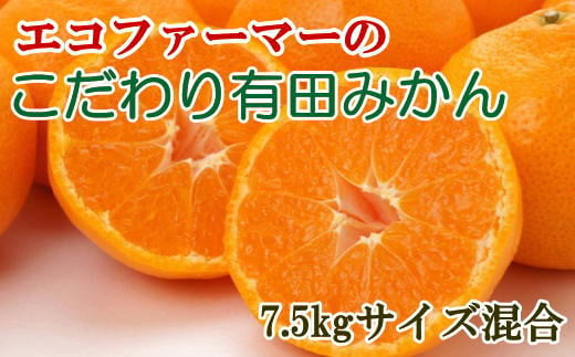 エコファーマーのこだわり有田みかん約7.5kg（サイズ混合）※2024年11月中旬～2025年1月中旬頃に順次発送【tec835】 858555 - 和歌山県太地町