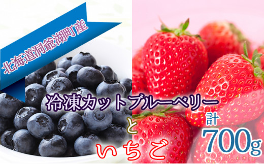 54 0431 役に立ちます 冷凍カット果物2種 ブルーベリー100g 3袋 いちご100g 4袋 北海道洞爺湖町 ふるさと納税 ふるさとチョイス