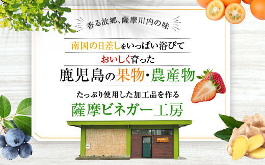 鹿児島県薩摩川内市のふるさと納税 AS-414 薩摩川内生姜シロップ（はちみつ・黒糖）稀少 あけび酢使用 各1本セット