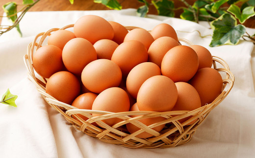 【6ヶ月定期便】 熊本県産 赤たまご 30個×6 計 180個 M～Lサイズ 鶏卵