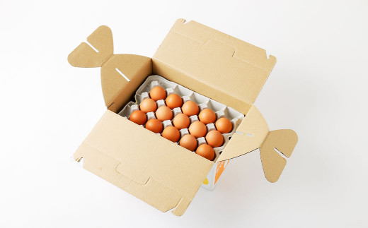 熊本県産 赤たまご 30個 M～Lサイズ 鶏卵  もじょか堂