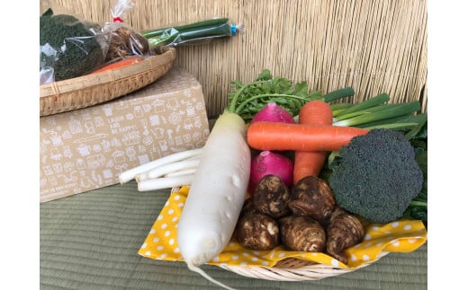 [10ヵ月定期便][栽培期間農薬不使用]季節の野菜ハーフセット(6〜7品)[自然 健康 農薬 なし 美味しい 安全 やさい 10回 鹿嶋市](KBE-18)