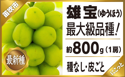 雄宝 1房 約800g シャインマスカットの２倍以上の粒の大きさ 超特大 大粒 品種 希少品種 産地直送 097-006